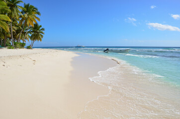 Fototapeta na wymiar Paradise beach with palm trees