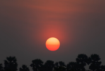 Obraz premium Early morning orange sunrise with sun rays behind the palm trees.