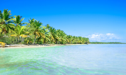 Fototapeta na wymiar Tropical paradise in Dominican Republic