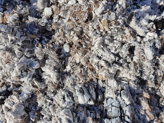 a close-up of wood ash