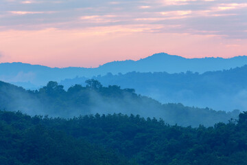 Mountain landscape in winter. forest and fog. Cloudy day.