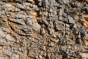 Natural stone background. Mountain texture.