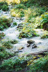 Naklejka na ściany i meble Waterfall river stream in green nature forest