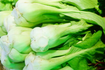 Obraz premium Close up of cabbage