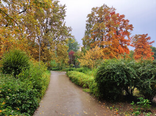 Autumn in the Danube park in Novi Sad