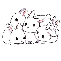 bunny baby’s