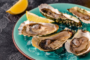 Opened fresh oysters on a blue plate, served with lemon and ice.