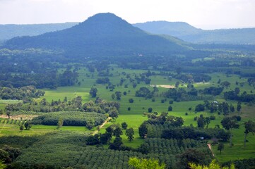 Fototapeta na wymiar landscape with vineyard and mountains