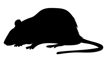 silhouette mouse, rat white background, isolated