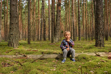 Naklejka na ściany i meble a child in a coniferous forest, a pine forest, a child among tree trunks in the forest