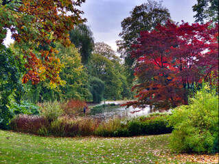 Obraz premium autumn in the park