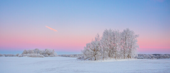 Cold winter landscape with morning light, frozen trees and snow cover, snowy winter, north