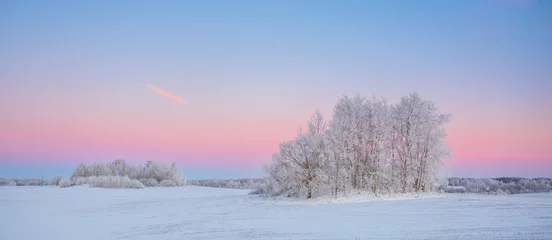 Fotobehang Blauwe hemel Cold winter landscape with morning light, frozen trees and snow cover, snowy winter, north  © lukjonis