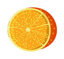 Fototapeta na wymiar Orange vector isolated on white background. Fruit, fresh, health food icon