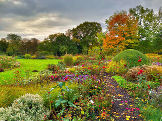 flowers in the garden