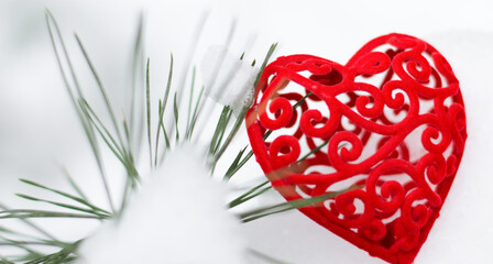 heart hanged on a snow-covered forest bush