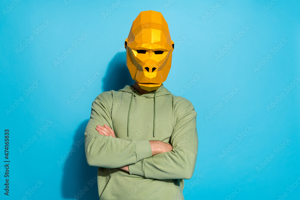 Sticker Photo of self-assured freak weird ape folded arms look camera wear gorilla mask isolated blue color background