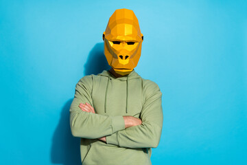 Photo of self-assured freak weird ape folded arms look camera wear gorilla mask isolated blue color...