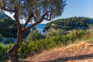 Coast of Corfu island next to Paleokastritsa, Greece.