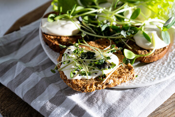 Breakfast with micro green on a plate. Bread toast, mozzarella cheese, cream sauce. Food with green sprouts of microgreen. Healthy diet. Healthy simple food. Salad with sunflower sprouts, arugula