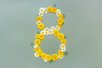Postcard for March 8. Flowers chamomiles in shape of number eight on green background. International Women's Day.