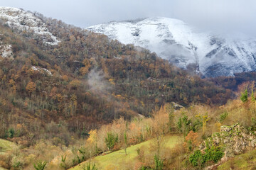 Fototapeta premium Bosque cabaña