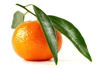 Tangerine Fruit with Leaves on white Background Isolated