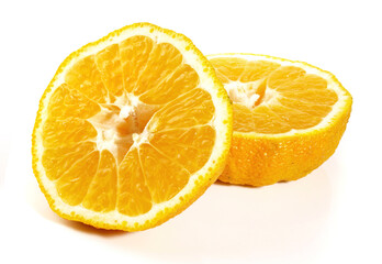 Ugly Citrus Fruit isolated on white Background
