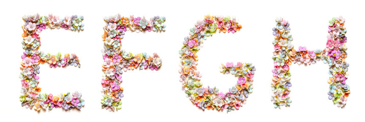 English alphabet e, f, g, h made of flowers. Set of flora font. Spring summer flower font.