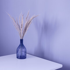 dried wild  decorative cereals in glass vase on  table, color of year 2022