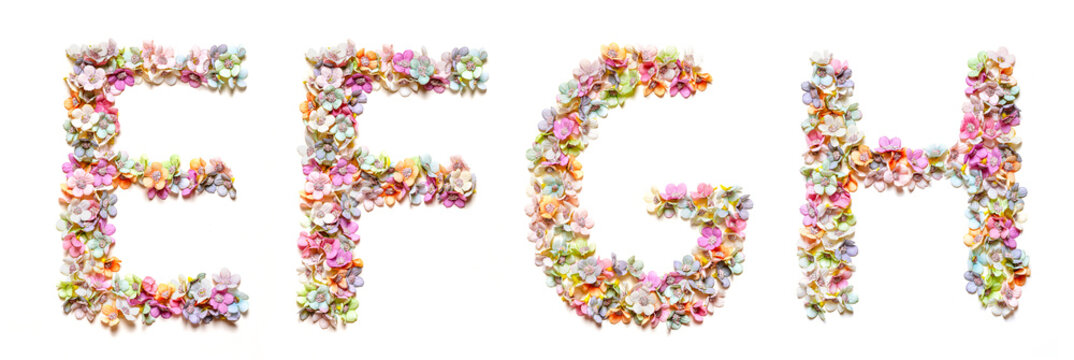 English alphabet e, f, g, h made of flowers. Set of flora font. Spring summer flower font.