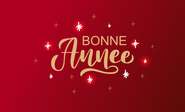 Hand sketched Bonne Annee card, badge, icon typography. Lettering Bonne Annee for Christmas, New Year greeting card, invitation template, banner, poster. Vector EPS10