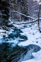 Winter landscape of the mountain river.