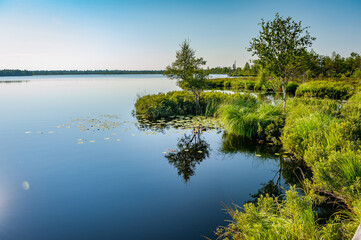 View of Koigi bog on sunny day. Swampy land and wetland, marsh, bog. Saaremaa, Estonia.