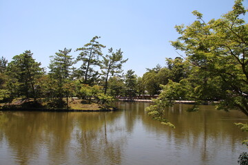 Nara, Jap&oacute;n, con innumerables templos y santuarios.
