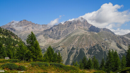 Gran Paradiso National Park, park in northwestern Italy