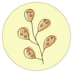 Fototapeta premium Vector icon and emblem for social media story highlight covers. Design templates for bloggers, photographers and designers. Abstract minimal circle backgrounds with nature leaves.