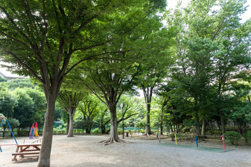 Obraz premium 砧三丁目公園（東京都世田谷区砧）