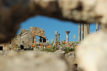 rzymskie miasto ruiny