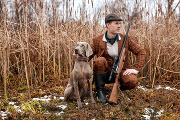 Man with weimaraner dog sitting in bushes and hunting down an animal, in wild nature. hunter and...