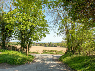 Fototapeta na wymiar Summertime countryside scenery in the UK.
