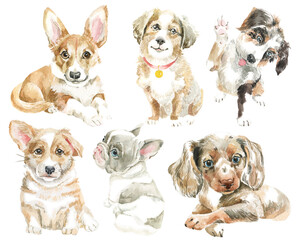 Set of watercolor hand-painted puppies. For postcards, posters, stickers, scrapbooking. Different breeds of small dogs on a white background
