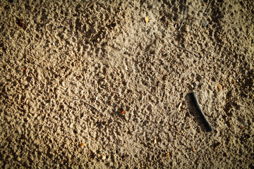 abstract sand background Texture beach