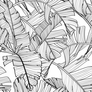 Botanical seamless pattern, hand drawn line art banana leaves on white.  Printable black white wallpaper or textile illustration.