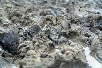 Gray healing clay on a salt lake.