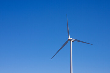 Fototapeta premium Eolico Park. Renewable energy. Wind power mills