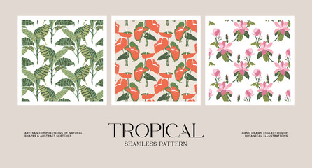 Botanical seamless pattern collection for wrapping paper or packaging design