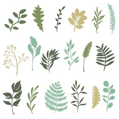 Set of plants and herbs. Colored flat vector illustration isolated on white