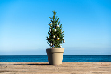 Small Chinese tree decorated with Christmas balls by the sea. Juniperus chinensis Stricta. 