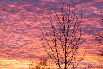 bright pink and orange puffy clouds in the sky during sunrise or sunset illuminating the sky in...